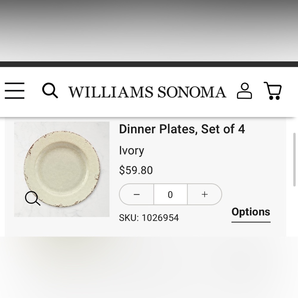Williams Sonoma Rustic® Outdoor Melamine Individual Dinner Plates Set 4 in Ivory - Picture 3 of 3